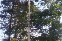 201430064_4267289439997569_4365749701438613128_n