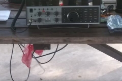 207378223_258824176005914_4929680946415773053_n