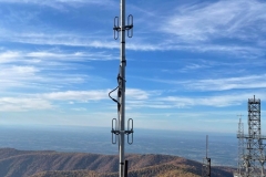 247474559_1708540716002373_2330216246348977905_n-Medium